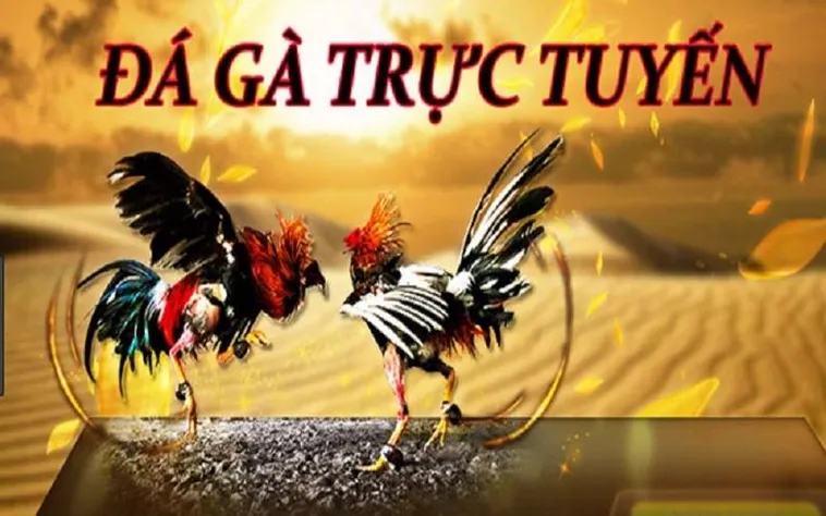 Khám Phá Thế Giới Đá Gà BJ88 Sôi Động Và Đầy Kịch Tính